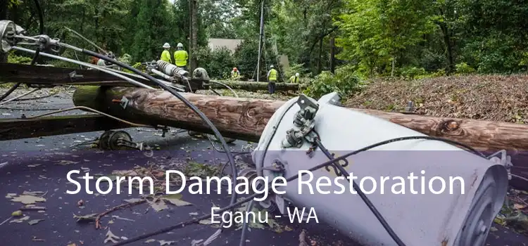 Storm Damage Restoration Eganu - WA