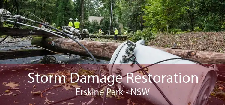 Storm Damage Restoration Erskine Park - NSW