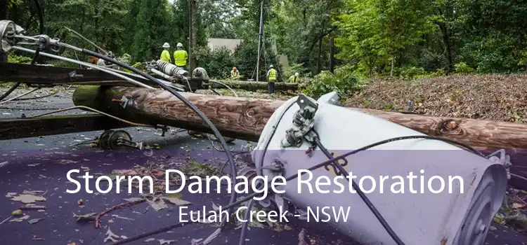 Storm Damage Restoration Eulah Creek - NSW