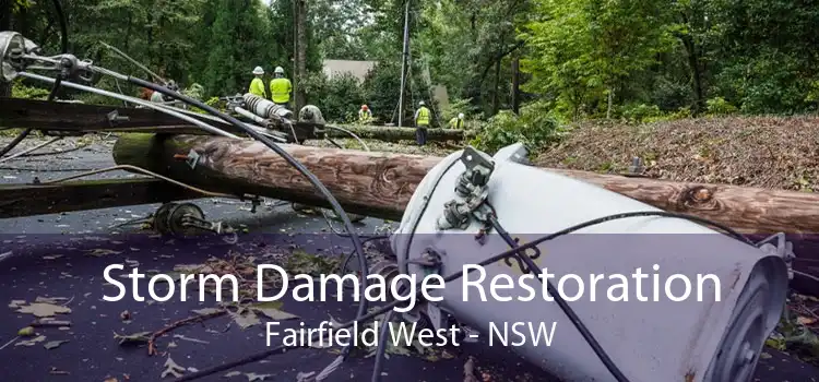 Storm Damage Restoration Fairfield West - NSW