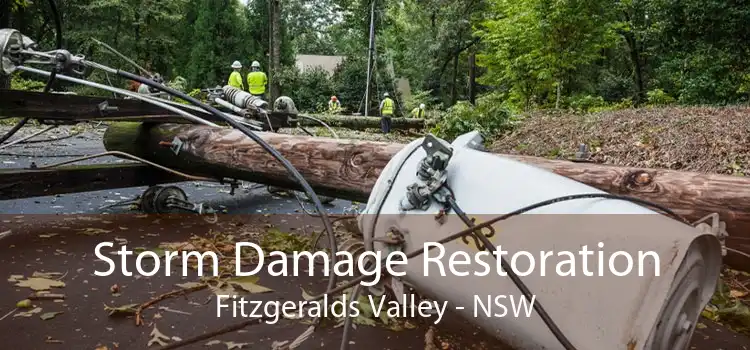 Storm Damage Restoration Fitzgeralds Valley - NSW