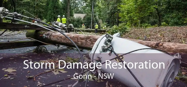 Storm Damage Restoration Gonn - NSW