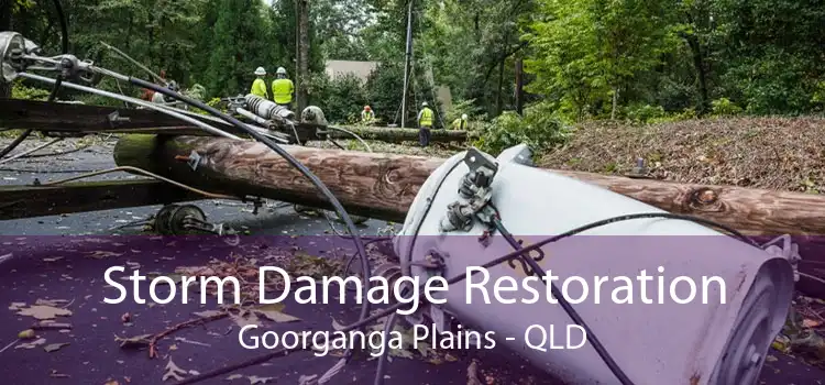 Storm Damage Restoration Goorganga Plains - QLD