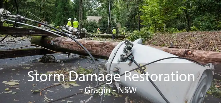 Storm Damage Restoration Gragin - NSW