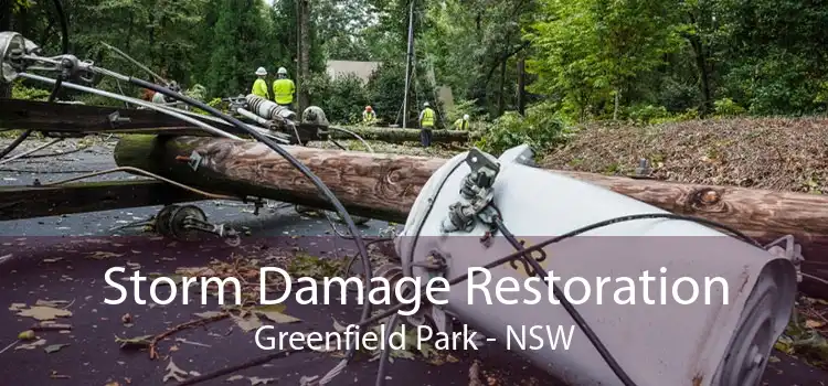 Storm Damage Restoration Greenfield Park - NSW