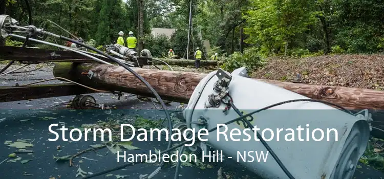 Storm Damage Restoration Hambledon Hill - NSW