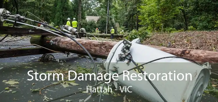 Storm Damage Restoration Hattah - VIC
