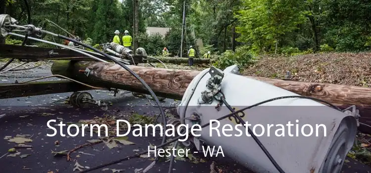 Storm Damage Restoration Hester - WA