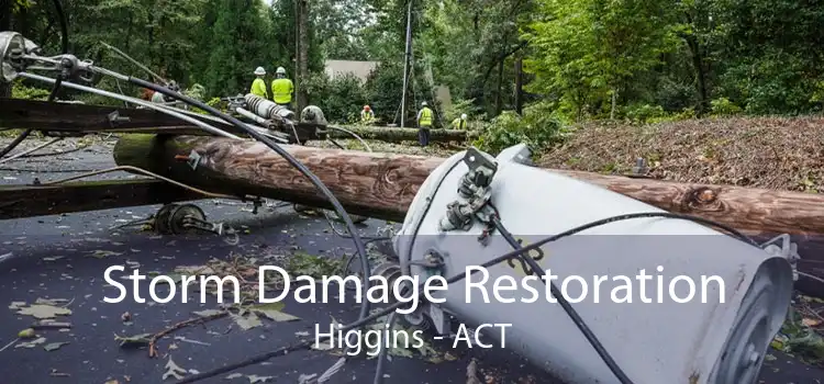 Storm Damage Restoration Higgins - ACT