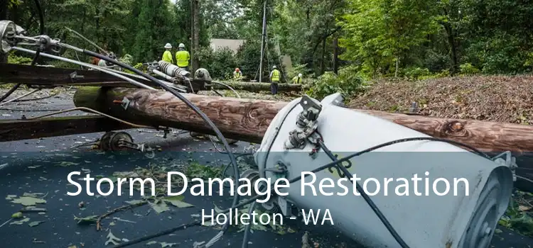 Storm Damage Restoration Holleton - WA