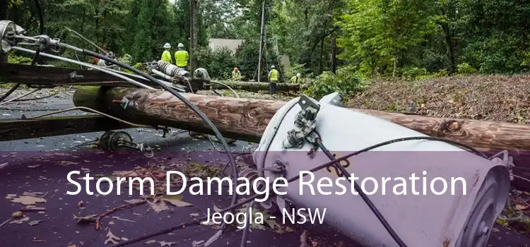 Storm Damage Restoration Jeogla - NSW