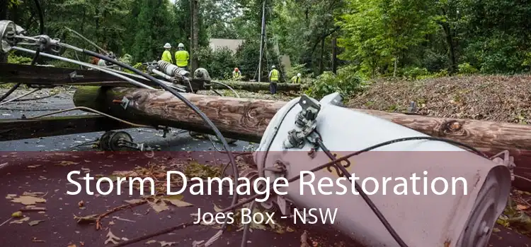 Storm Damage Restoration Joes Box - NSW