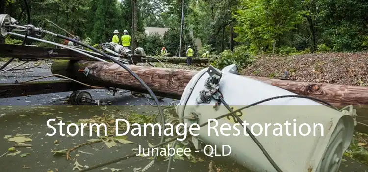 Storm Damage Restoration Junabee - QLD