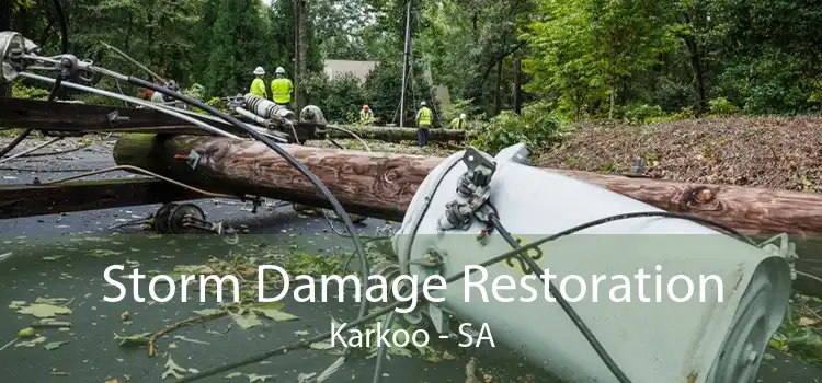 Storm Damage Restoration Karkoo - SA