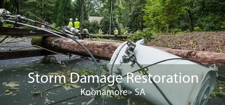 Storm Damage Restoration Koonamore - SA