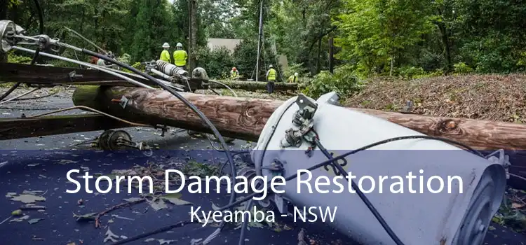 Storm Damage Restoration Kyeamba - NSW