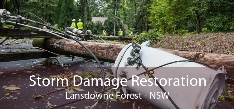 Storm Damage Restoration Lansdowne Forest - NSW
