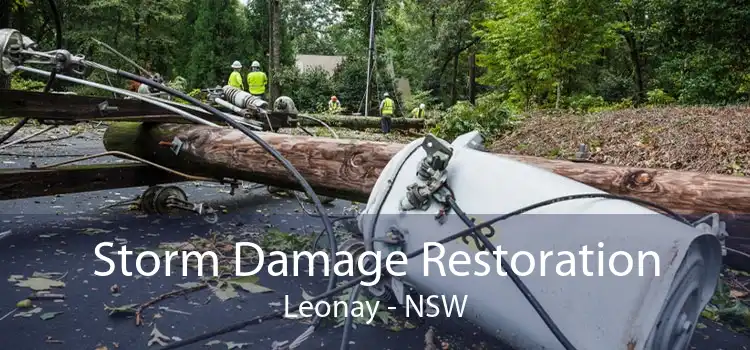 Storm Damage Restoration Leonay - NSW