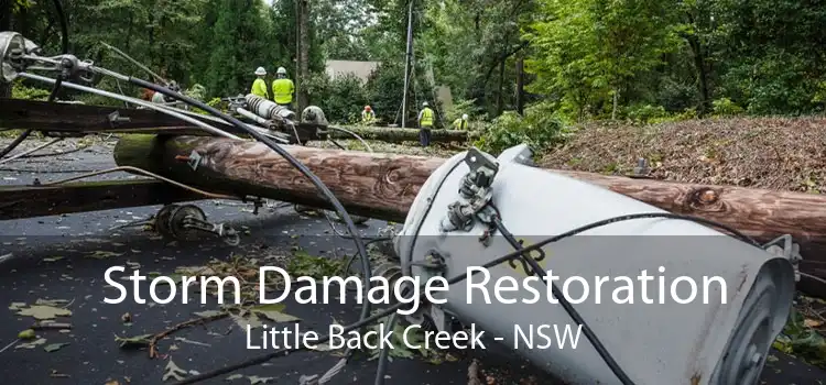 Storm Damage Restoration Little Back Creek - NSW