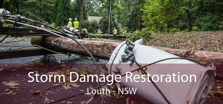 Storm Damage Restoration Louth - NSW