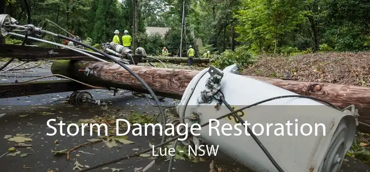 Storm Damage Restoration Lue - NSW