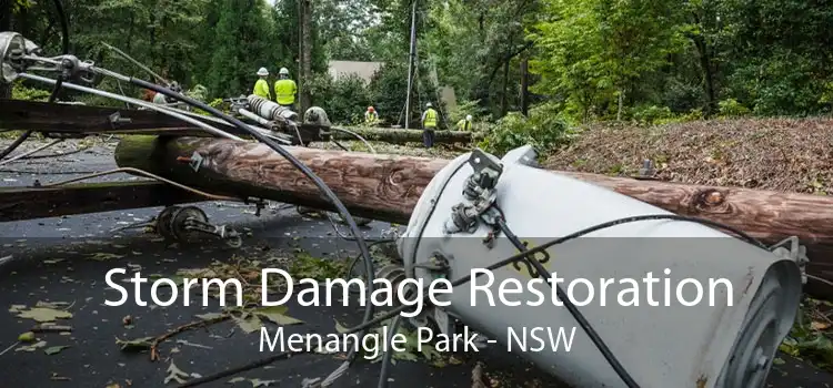 Storm Damage Restoration Menangle Park - NSW