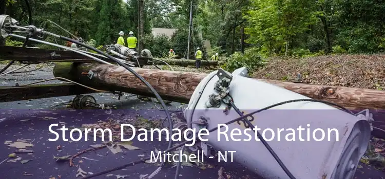 Storm Damage Restoration Mitchell - NT