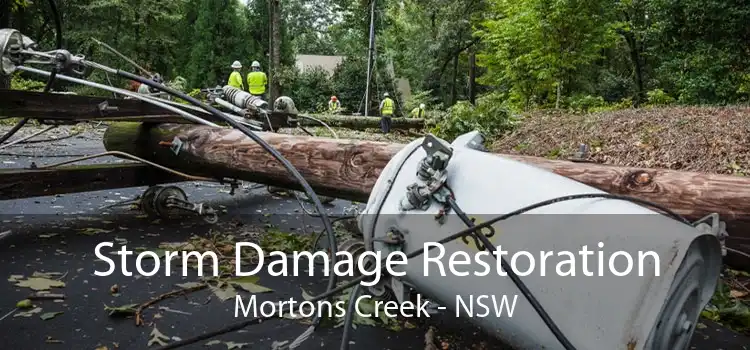 Storm Damage Restoration Mortons Creek - NSW