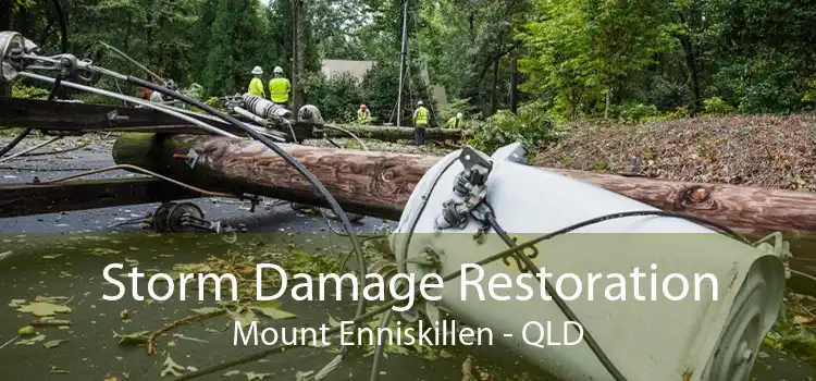 Storm Damage Restoration Mount Enniskillen - QLD