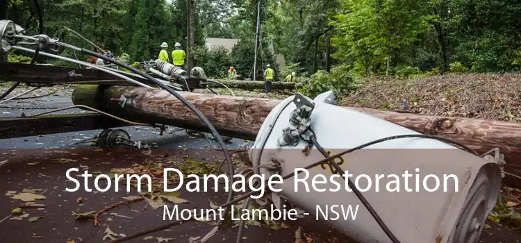 Storm Damage Restoration Mount Lambie - NSW