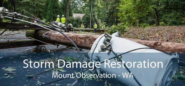 Storm Damage Restoration Mount Observation - WA