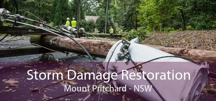 Storm Damage Restoration Mount Pritchard - NSW