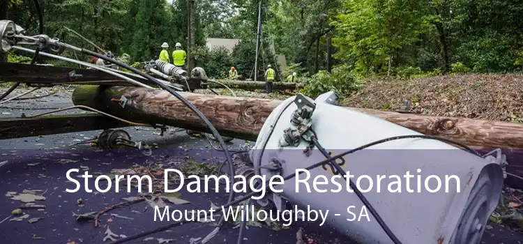 Storm Damage Restoration Mount Willoughby - SA