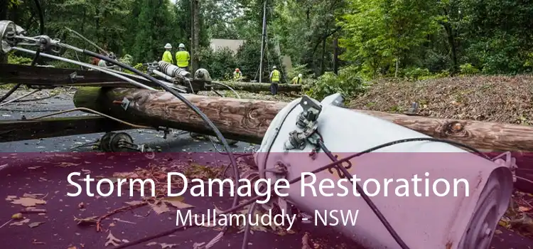 Storm Damage Restoration Mullamuddy - NSW