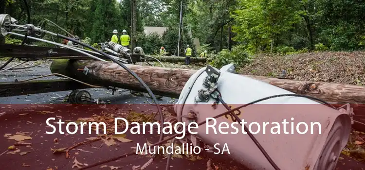 Storm Damage Restoration Mundallio - SA