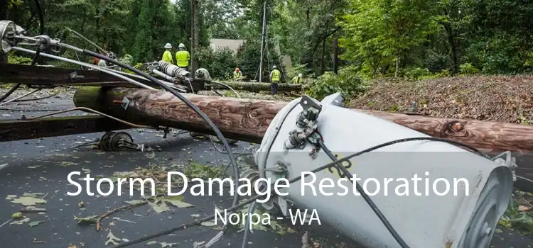 Storm Damage Restoration Norpa - WA