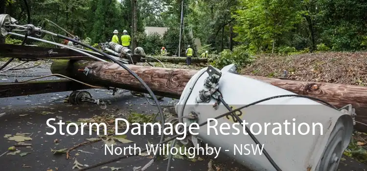 Storm Damage Restoration North Willoughby - NSW