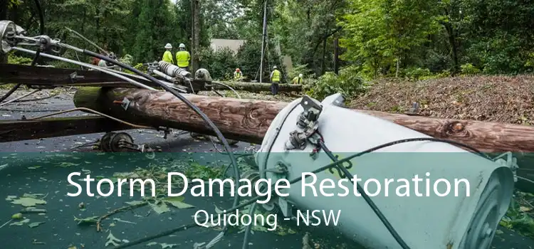 Storm Damage Restoration Quidong - NSW