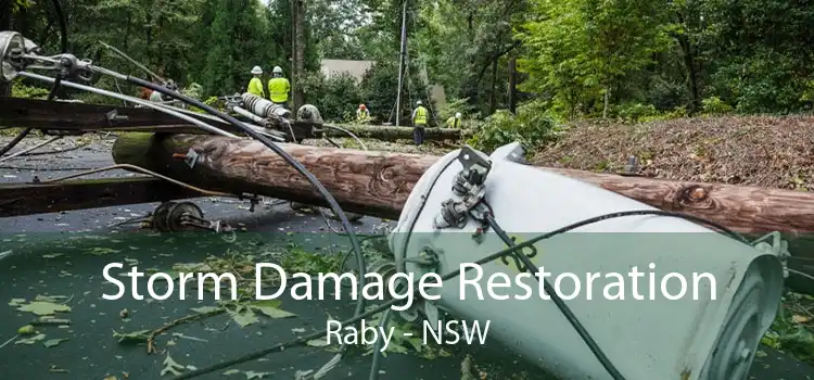 Storm Damage Restoration Raby - NSW