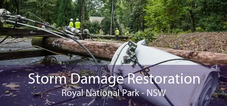 Storm Damage Restoration Royal National Park - NSW