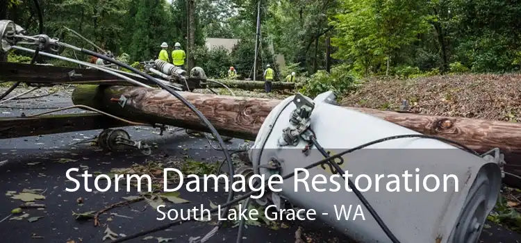 Storm Damage Restoration South Lake Grace - WA