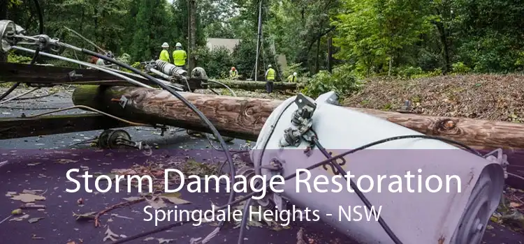 Storm Damage Restoration Springdale Heights - NSW