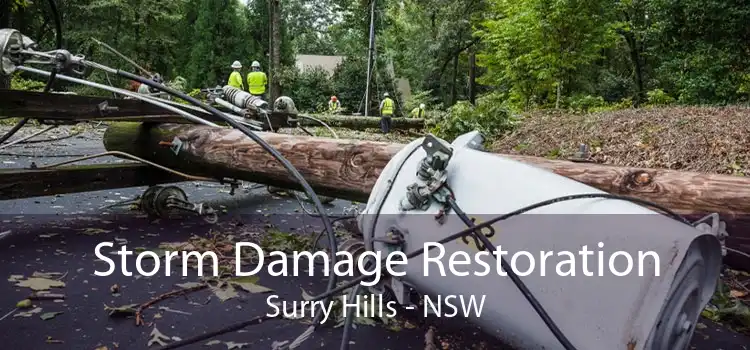 Storm Damage Restoration Surry Hills - NSW