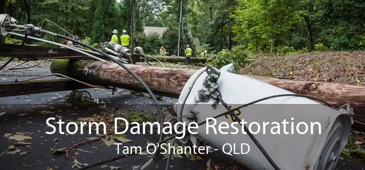 Storm Damage Restoration Tam O'Shanter - QLD