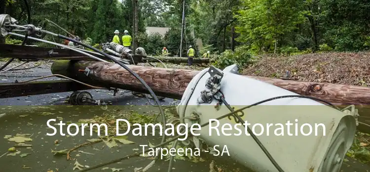 Storm Damage Restoration Tarpeena - SA