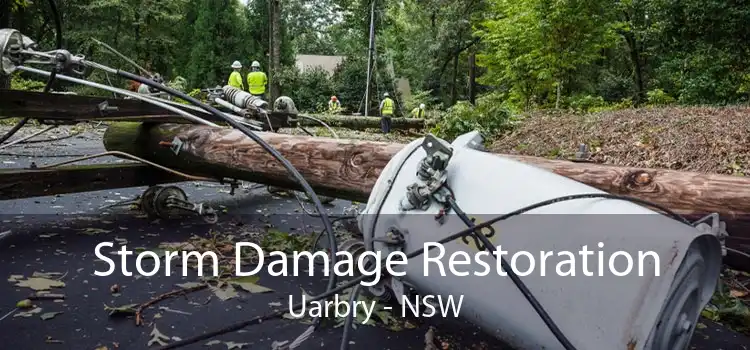 Storm Damage Restoration Uarbry - NSW