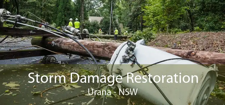 Storm Damage Restoration Urana - NSW