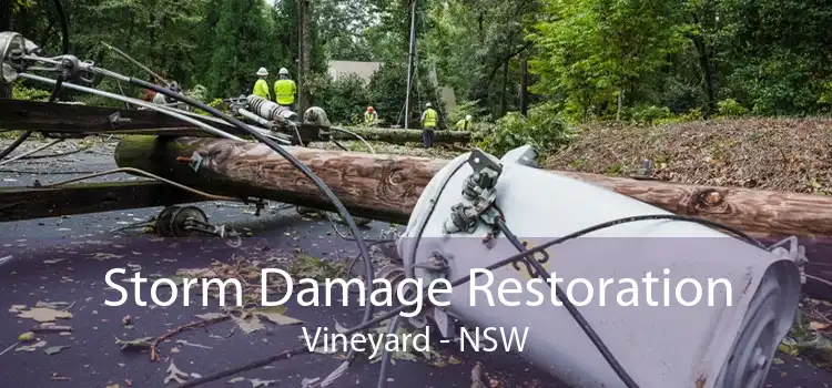 Storm Damage Restoration Vineyard - NSW