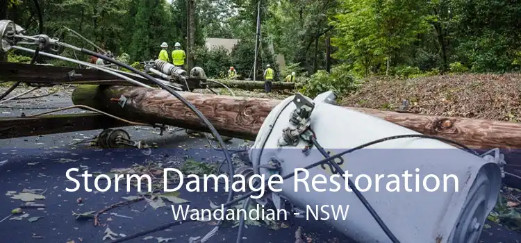 Storm Damage Restoration Wandandian - NSW