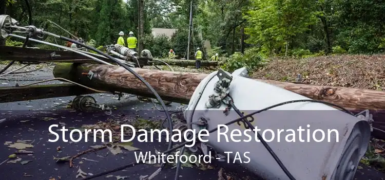 Storm Damage Restoration Whitefoord - TAS